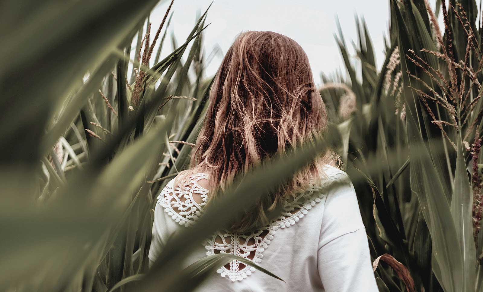 A woman walking through stalks of corn