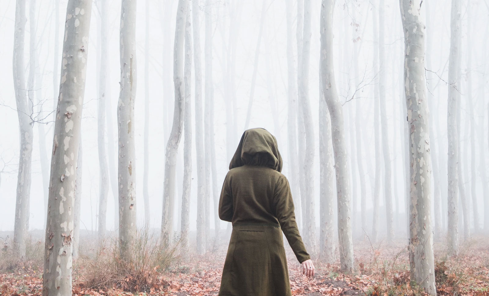 A hooded person in a forest