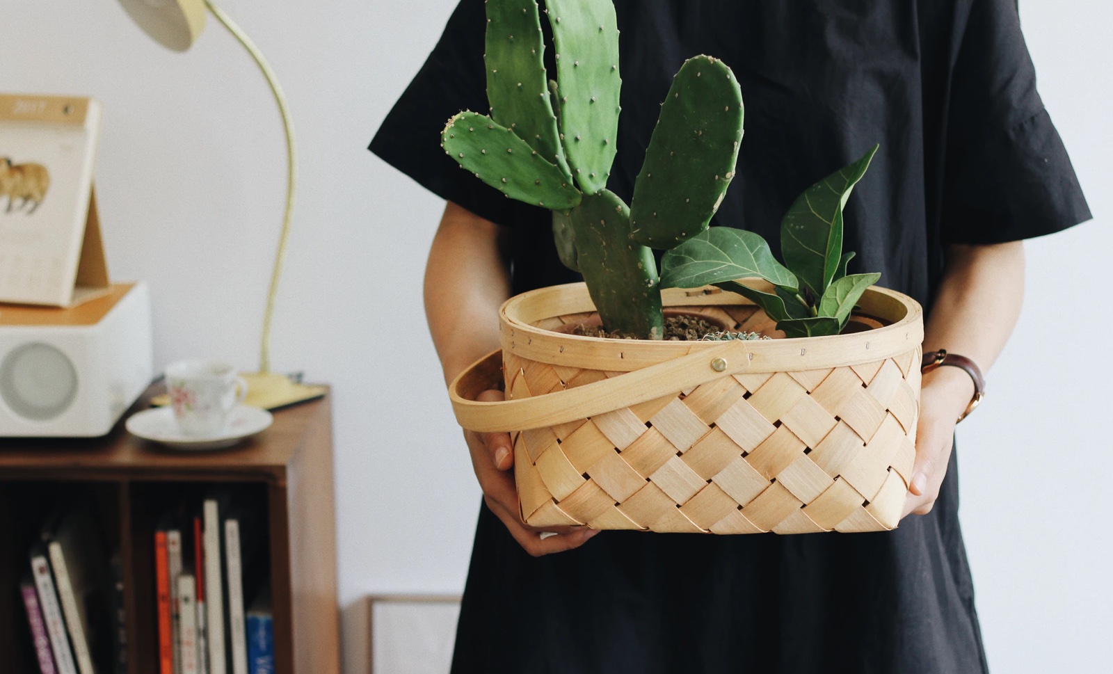 A basket with two plants